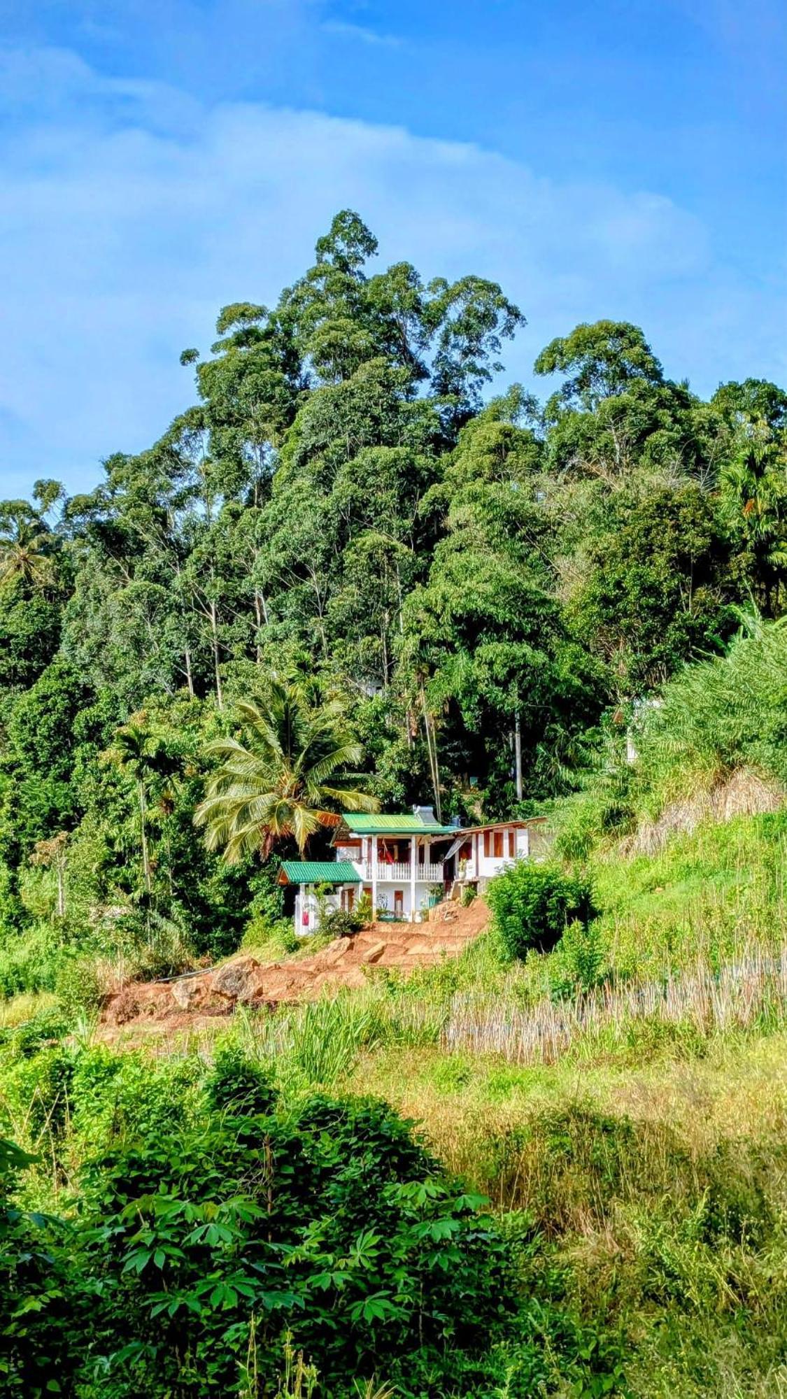 New Farmers Paradise Ella Exterior foto